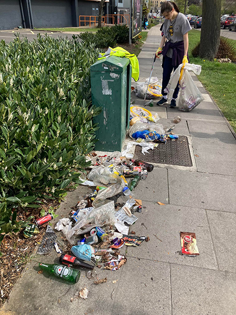 Harrow Litter Pickers photo 6