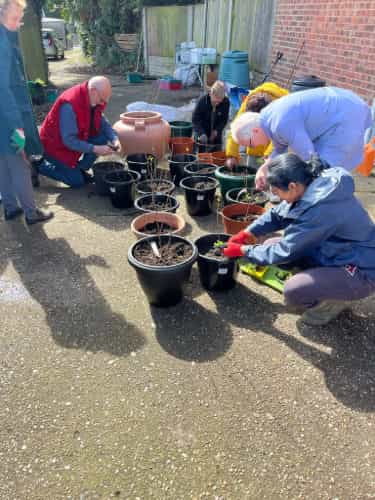 Galerie foto Harrow Litter Pickers 28